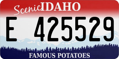 ID license plate E425529