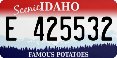 ID license plate E425532