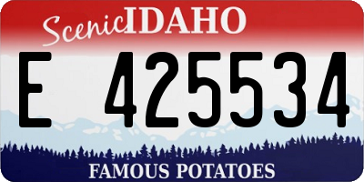 ID license plate E425534