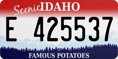 ID license plate E425537
