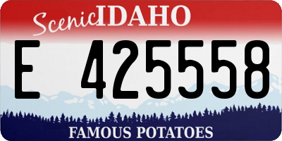 ID license plate E425558