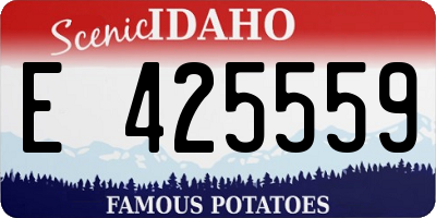 ID license plate E425559
