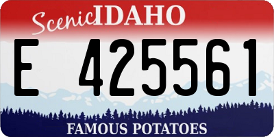 ID license plate E425561