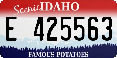 ID license plate E425563