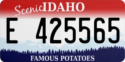 ID license plate E425565