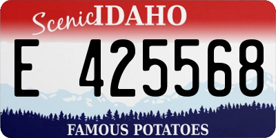 ID license plate E425568