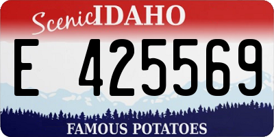 ID license plate E425569