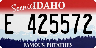 ID license plate E425572