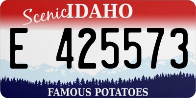 ID license plate E425573