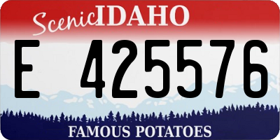 ID license plate E425576