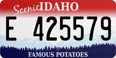 ID license plate E425579