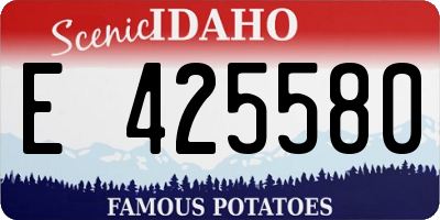 ID license plate E425580
