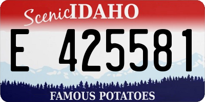 ID license plate E425581