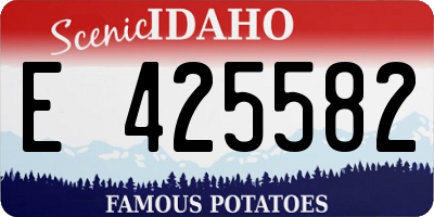 ID license plate E425582