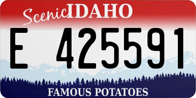 ID license plate E425591
