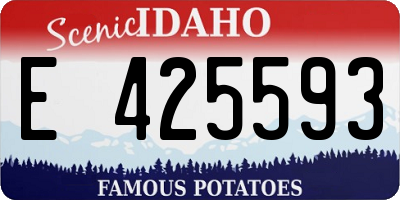 ID license plate E425593