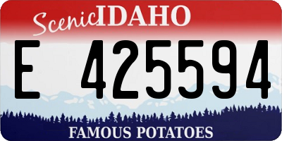 ID license plate E425594