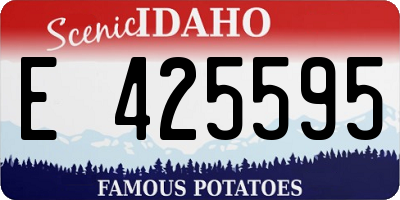 ID license plate E425595