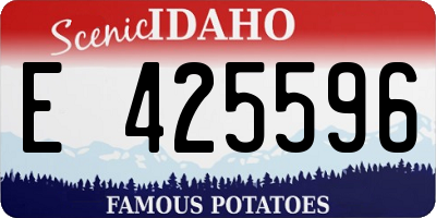 ID license plate E425596