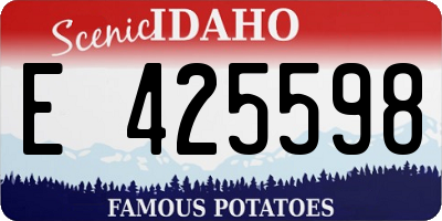 ID license plate E425598