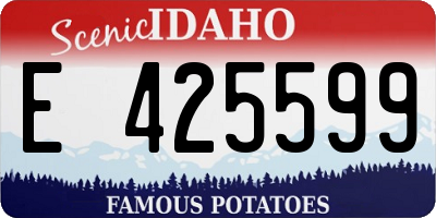 ID license plate E425599