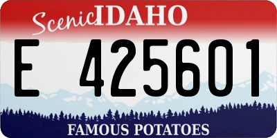 ID license plate E425601
