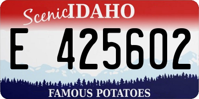 ID license plate E425602