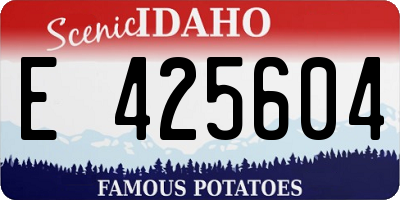 ID license plate E425604