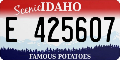ID license plate E425607
