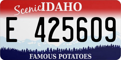 ID license plate E425609