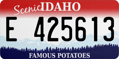 ID license plate E425613