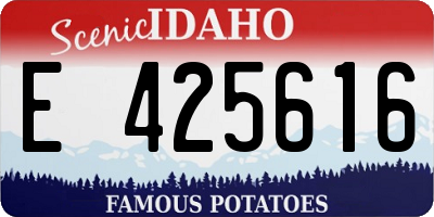 ID license plate E425616