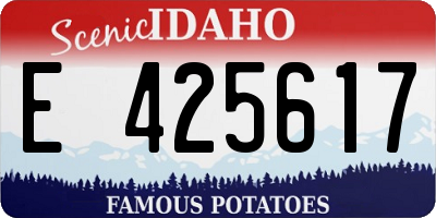 ID license plate E425617