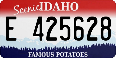 ID license plate E425628