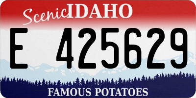 ID license plate E425629