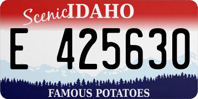 ID license plate E425630