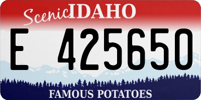ID license plate E425650