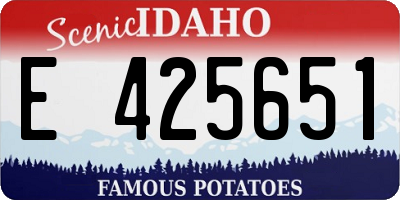 ID license plate E425651