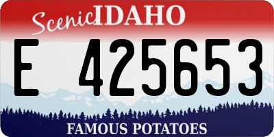 ID license plate E425653