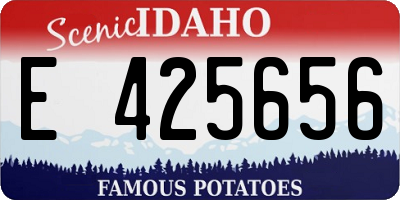 ID license plate E425656