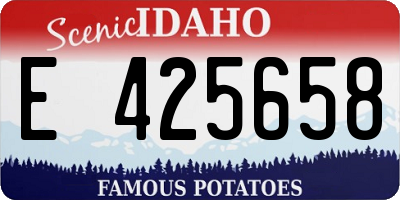 ID license plate E425658