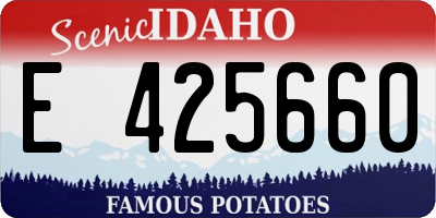 ID license plate E425660