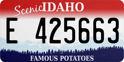 ID license plate E425663