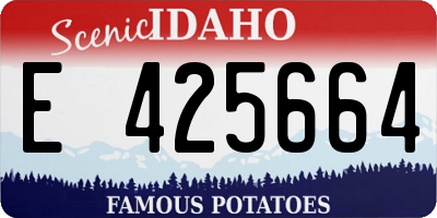 ID license plate E425664