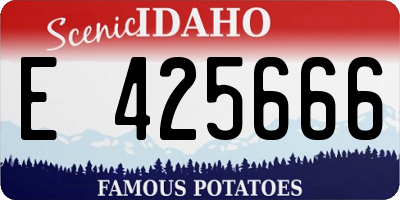 ID license plate E425666