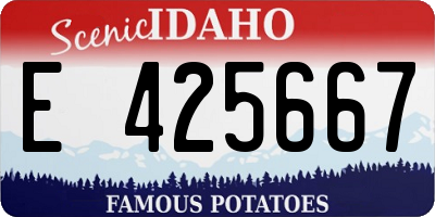 ID license plate E425667