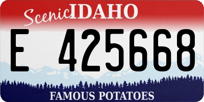 ID license plate E425668
