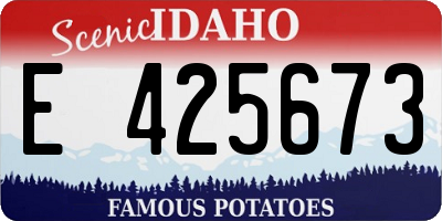 ID license plate E425673