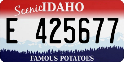 ID license plate E425677