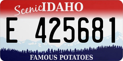 ID license plate E425681